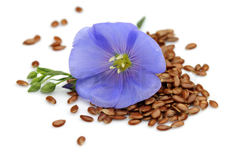 Flax seeds with flower